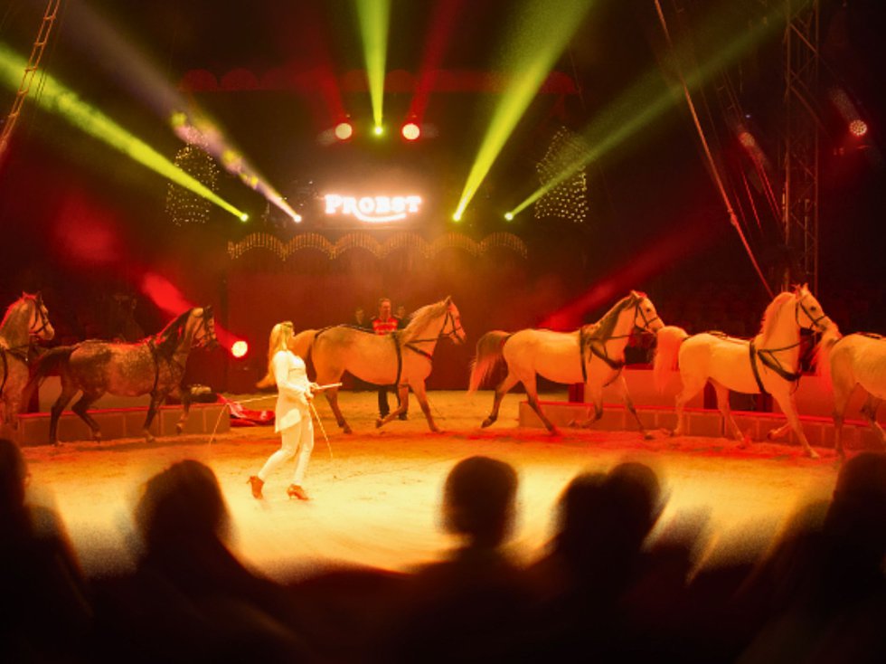 Gelsenkirchener Weihnachtscircus