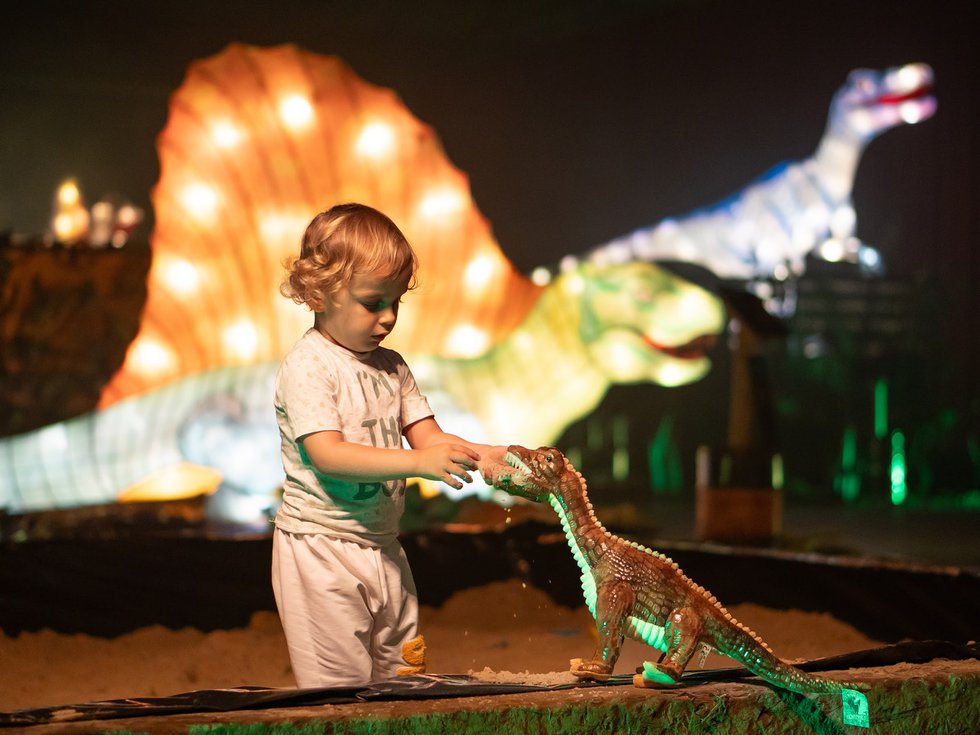 Wunderlight im Wunderland Kalkar