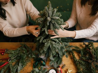 Weihnachtsbaum-Alternativen, Recycling-Tanne