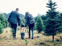 Weihnachtsbaum