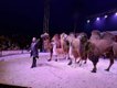 Haaner Weihnachtscircus