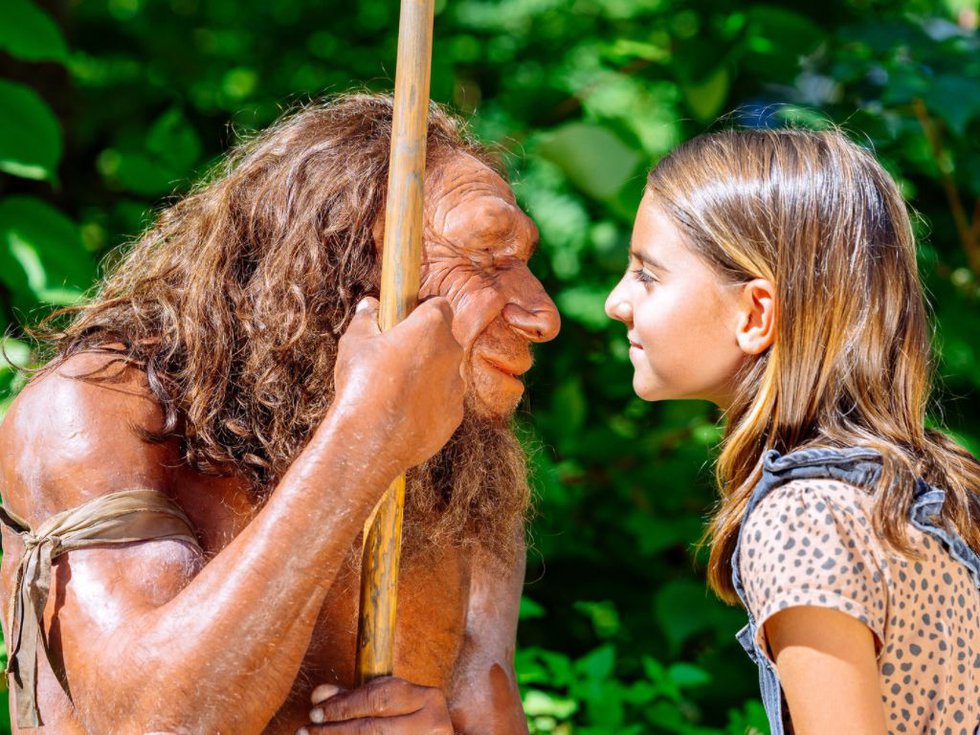 Neanderthalmuseum, Mr. N